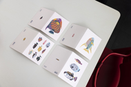 POSTCARD - FISHES - DRAWING 003