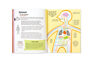O CORPO HUMANO EM 30 SEGUNDOS